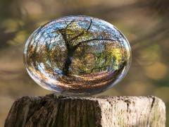 如何选择2024年12月买车的吉日 影响购车的因素有哪些