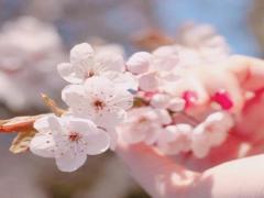 2025年一月份结婚的流行趋势 现代婚礼中不可缺少的元素