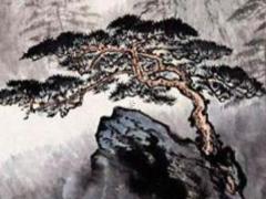 1995年属猪人2025年运势,1995年9月属猪的婚姻及运势