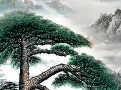1988年属龙女2025年感情运势,属龙人在2025年的全年运势