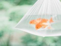 2025年5月吉日推荐 哪天好适合祭祀