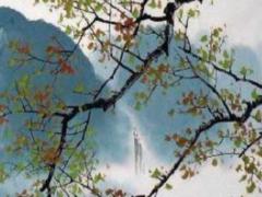 74年属虎女性2025年运势及运程,1998属虎2025全年运势
