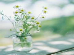 2025年5月哪日婚姻登记最好及吉日测算