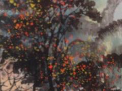 属虎2025年本命年运势如何,2025年属虎本命年的运势怎么样
